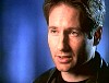 x-files535.jpg