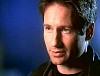 x-files537.jpg