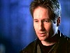 x-files555.jpg