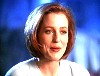 x-files616.jpg