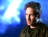 x-files628.jpg