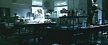 d_cap037.jpg