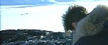 d_cap617.jpg