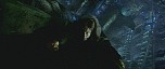 d_cap681.jpg