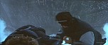 d_cap839.jpg