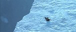 d_cap868.jpg
