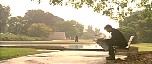 d_cap906.jpg
