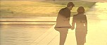 d_cap936.jpg