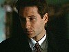 x-files119.jpg