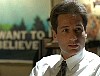 x-files135.jpg