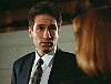 x-files254.jpg