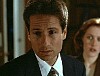 x-files274.jpg