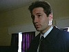 x-files423.jpg