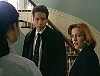 x-files443.jpg