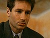 x-files650.jpg