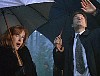 x-files083.jpg