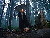 x-files100.jpg