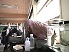 x-files123.jpg