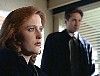 x-files126.jpg