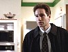 x-files375.jpg