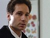 x-files384.jpg