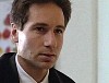 x-files387.jpg