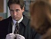 x-files431.jpg