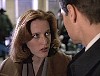 x-files443.jpg