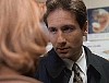 x-files450.jpg