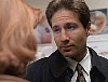 x-files461.jpg