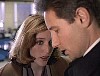 x-files466.jpg