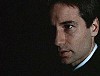 x-files522.jpg
