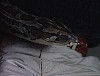 x-files547.jpg