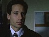 x-files555.jpg