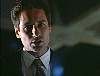x-files306.jpg