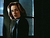 x-files379.jpg