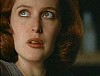 x-files383.jpg