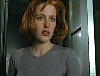 x-files449.jpg