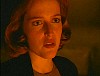 x-files458.jpg