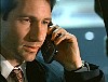 x-files490.jpg