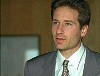 x-files565.jpg