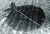 cap018.jpg