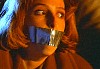 cap217.jpg