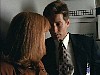 z-x-files218.jpg