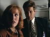 z-x-files220.jpg