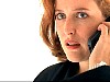 cap317.jpg