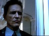 cap325.jpg