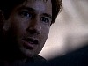 cap454.jpg
