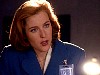 cap582.jpg