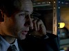 cap311.jpg